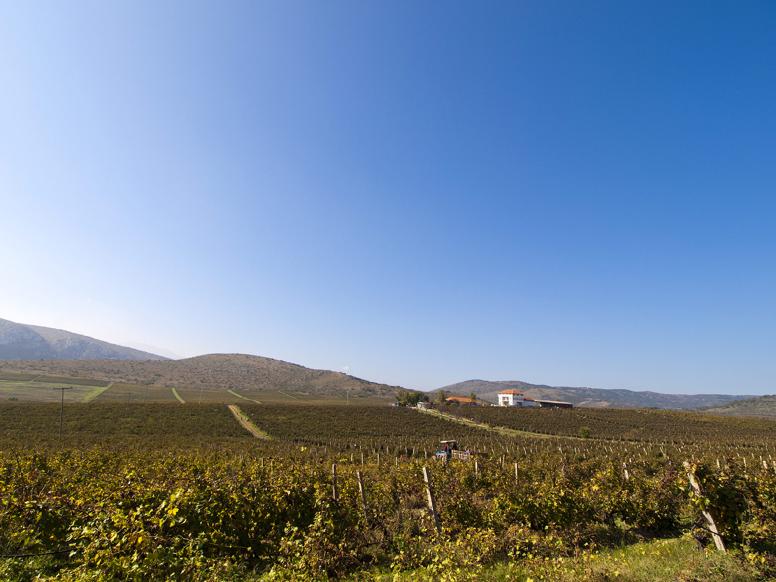 Chateau Sopot, Veles (Photo license: CC BY-NC 2.0)
